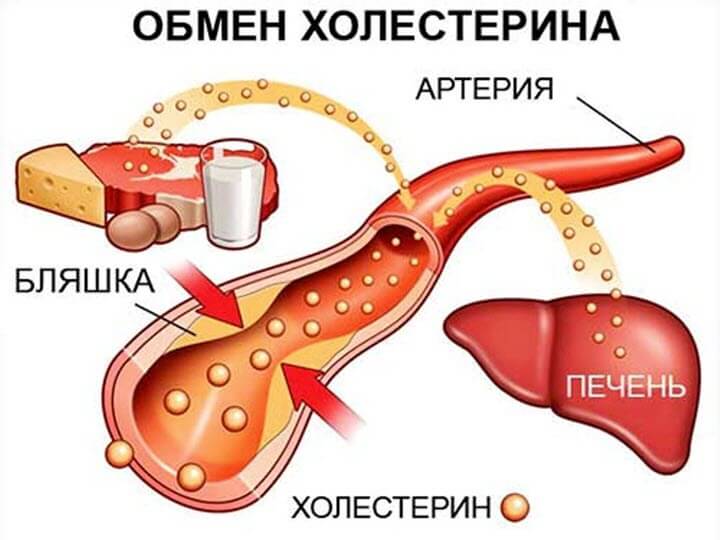 Народные средства от холестерина: самые эффективные методы снижения, как быстро снизить